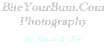 BiteYourBum.Com Photography